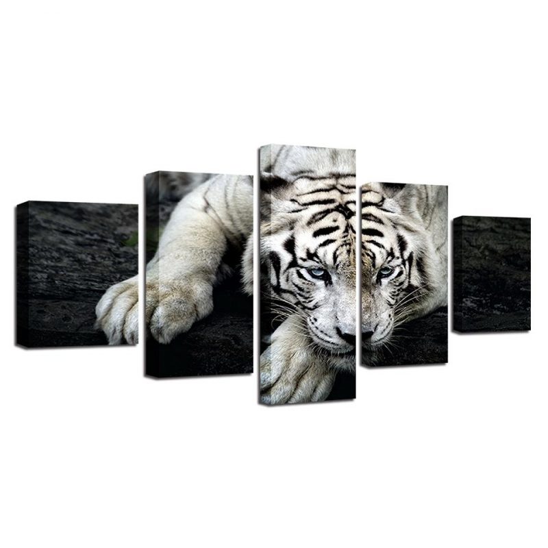 White Tiger 06 – Animal 5 Panel Canvas Art Wall Decor – Canvas Storm