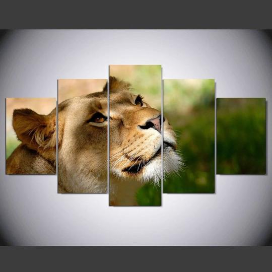 Lioness – Animal Canas Wall Art – Canvas Storm